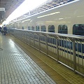 DSC02709.JPG