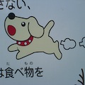 DSC02829.JPG
