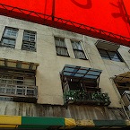 DSC_7774.JPG