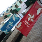 DSC07538.JPG