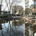 DSC_6130.JPG