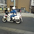 DSC02869.JPG