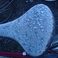 DSC02690.JPG