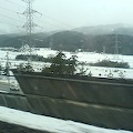DSC02734.JPG