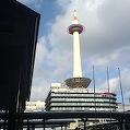 DSC02741.JPG