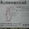 DSC_5828.JPG