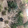 IMG_0157.JPG