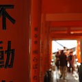 DSC_5835.JPG