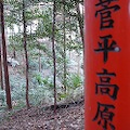 DSC_5841.JPG