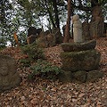 DSC_5872.JPG