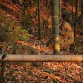 DSC_5874.JPG
