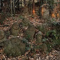 DSC_5873.JPG