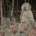 DSC_5880.JPG