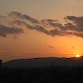 DSC_5885.JPG