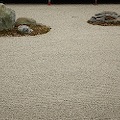 DSC_5932.JPG