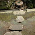 DSC_5934.JPG