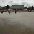 DSC_5939.JPG