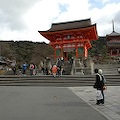 DSC_5993.JPG