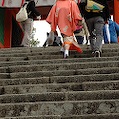 DSC_5994.JPG