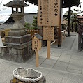 DSC_6007.JPG