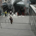 DSC_6042.JPG