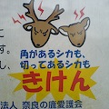 DSC02818.JPG
