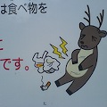 DSC02830.JPG