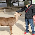 IMG_0264.JPG