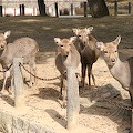 IMG_0286.JPG