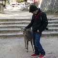 IMG_0351.JPG