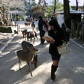 IMG_0372.JPG
