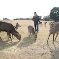 IMG_0407.JPG
