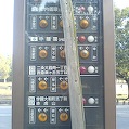 DSC02828.JPG