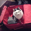 DSC02571.JPG