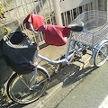 DSC02906.JPG