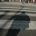 DSC_6150.JPG