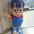 DSC02947.JPG