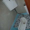DSC_5711.JPG