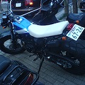 DSC02615.JPG