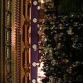 IMG_0084.JPG