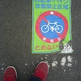 DSC02651.JPG